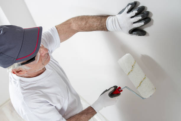 Best Mold Damage Restoration  in Garrett, TX