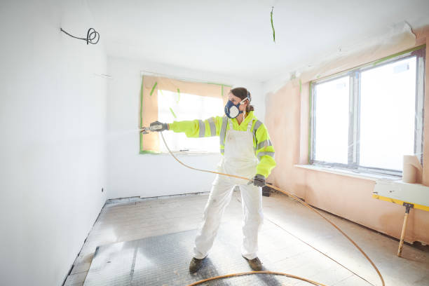 Best Basement Mold Removal  in Garrett, TX